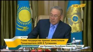 Глава государства принял заместителя Председателя АНК  Ералы Тугжанова