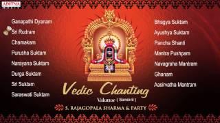 Vedic Chanting | S. Rajagopalsharma|| Sanskrit Devotional Jukebox | Aditya Bhakti |#vedicchanting