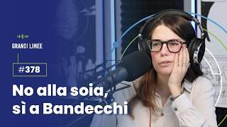 Ep. 378 - No alla soia, sì a Bandecchi