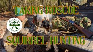 Taking Roscoe Squirrel Hunting