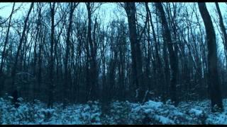 Schubert - WINTERREISE - 12. Einsamkeit.wmv