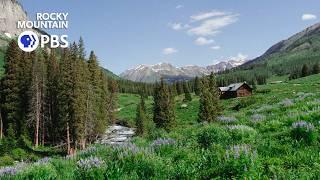 Colorado Experience: Gothic's Outdoor Science Lab