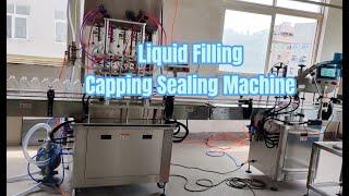 Liquid Filling Capping Sealing Machine