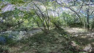 Vasona Park, California. 360 3D VR Stereo Cardboard