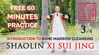 Introduction to Xi Sui Jing (3/4)  DAILY 60 Minute Practice 