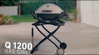 Q 1200 Gas Grill, Titanium | Weber Grills