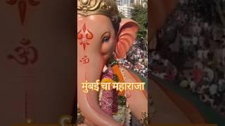 Mumbai Cha Maharaja 2024 #ganeshvisarjan #mumbai #mumbaichamaharaja #ganpatibappamorya