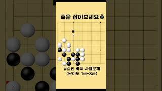 완벽한 수순으로 흑 전체를 잡는 사활문제 #바둑 #사활 #바둑강좌