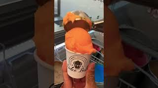 #food #ginger #bigred #foodshorts #foodie #longisland #food #eating #redhead #fat