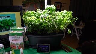 Miracle-Gro's AeroGarden on The Michael Artsis Show on BeTerrific!!