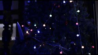 THE KILLING TREE (2022) Official Trailer (HD) KILLER CHRISTMAS TREE