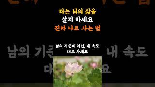 더는 남의 삶을 살지 마세요. 진짜 나로 사는 법 #명언 #긍정적마인드 #지혜 #인생조언