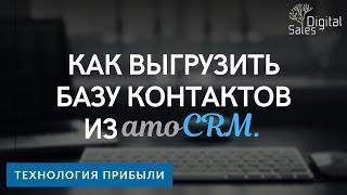 Как выгрузить базу контактов из amoCRM