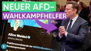 Musk und die AfD: Neue Dimension der Wahlkampfunterstützung? | EXKLUSIV