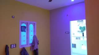 RCM tulsi paint | 3