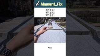 지혜롭고 현명한 사람이 되기 위해선 [법구경]