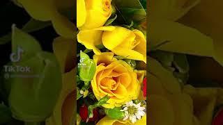 Original.Sound Beautiful.Nature Beauty By Susie Gonzalez 10/31/21