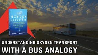 Understanding Oxygen Transport with a Bus Analogy