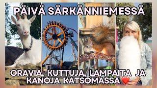 Särkänniemessä/ Oravan poikasta ja muita eläimiä katsomassa/ Ravitsemusterapeutilla käynti