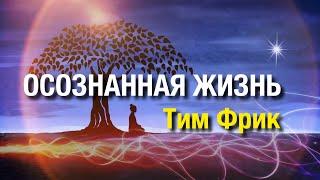 «Осознанная жизнь» Тим Фрик. Книга, которая перевернёт ваш мир. Аудиокнига о просветлении.