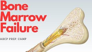 ASCP | MLS | MLT | Hematology | Bone Marrow Failure