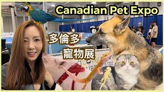 多倫多寵物展 Canadian Pet Expo@annalui #多倫多生活