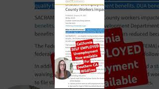 CA EDD Self Employed Unemployment Available for Wildfires #shorts #socal  #selfemployed