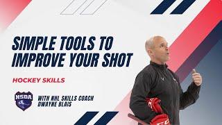 PRO HOCKEY TRAINING: Simple Tools to Improve your Shot