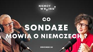 Co sondaże mówią o Niemczech?