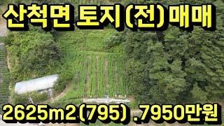 #충주부동산채널 883번 충주시 산척면 석천리 깊은골 전