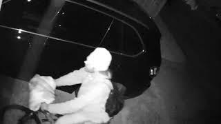 Attempted Auto Burglary