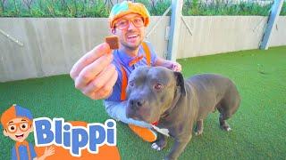 Blippi Learns About Animals For Kids At The Animal Shelter | Educational Videos For Toddlers