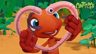 The Early Ant Gets the Worm | Full Episodes | Antiks | Cartoons for Kids