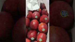 سیب صادراتی ایران  #هند#پاکستان#دبی#سیب#عراق#روسیهIran's export apples  #India#Pakistan#Dubai#