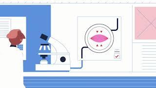 Oxford Sparks - Mechanobiology: The Stress of Life