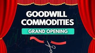 GOODWILL COMMODITIES GRAND OPENING FOR COMMODITY TRADING IN INDIA