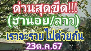 ด่วนสุดขีด!!! (ฮานอย/ลาว) วันนี้รวย!!! 23ต.ค.67