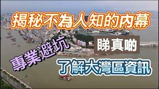 買樓十大避坑技巧丨樓盤慣用招數丨教你睇清啲睇真啲丨助你免除擔憂，避免中伏丨安心置業大灣區丨投資置業樣樣掂丨先了解，再投資；投資前，先了解丨 #大灣區生活 #十大避坑技巧 #中伏 #踩雷 #投資 #置業