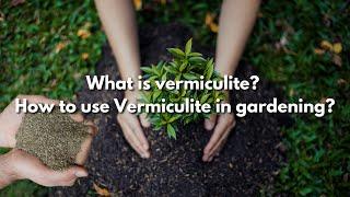 What is vermiculite? How to use Vermiculite in gardening?