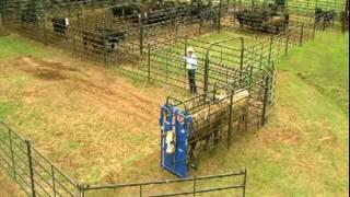 Priefert Small Cattle Working Systems