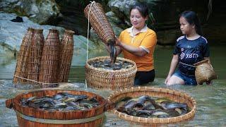 Big win: Trap stream fish with a basket, With baby Nhu - Luu Linh Family