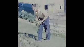 Gardening In The 1960s. #8mmfilm #vintage #1960s #gardening #cinefilm #8mmcinefilm #family