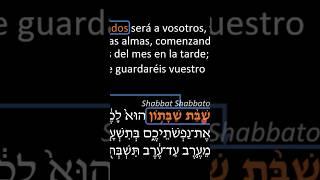 Sábado alto en la biblia #trending #shorts #jesus #yeshua #video #viralvideo #viralshort #fyp #fy