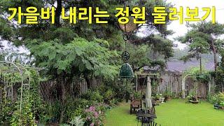 가을비 내리는 정원 둘러보기. Take a tour of the garden in the autumn rain.