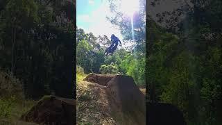 SUMMER JUMPS 