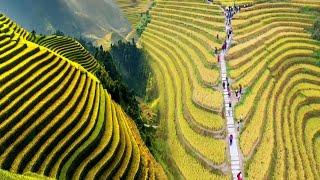 CHINA'S UNBELIEVABLE RICE TERRACES TURNED INTO STUNNING TOURIST ATTRACTIONS