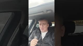 Politicke svine