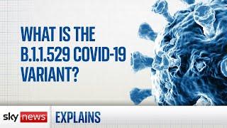 COVID-19: What is the new Omicron variant?