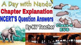 A Day With Nandu / Class-4 EVS Chapter 3 NCERT Explanation Question Answers by KV Teacher