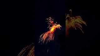 Toxic 500 Gram World Class #shorts #fireworks